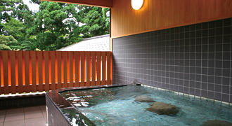 静かでのんびりできる宿　石原館