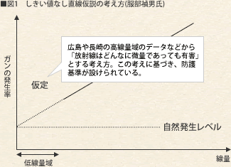 しきい値なし直線仮説の考え方（服部禎男氏）