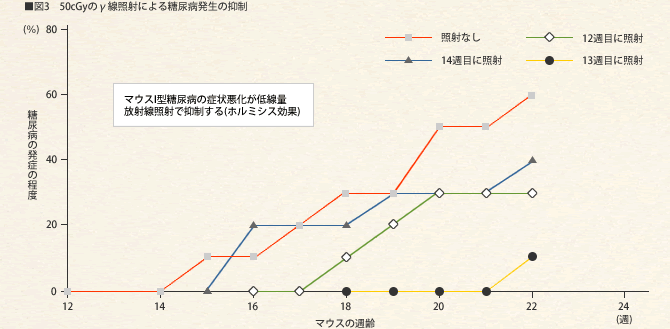 50cGyのγ線照射による糖尿病発生の制御